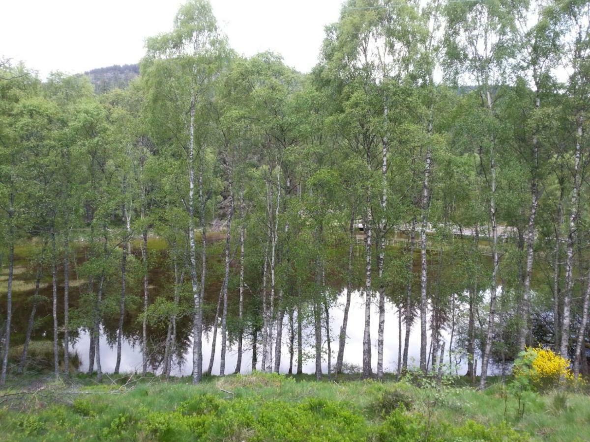 Crannach House Bed & Breakfast Ballater Dış mekan fotoğraf